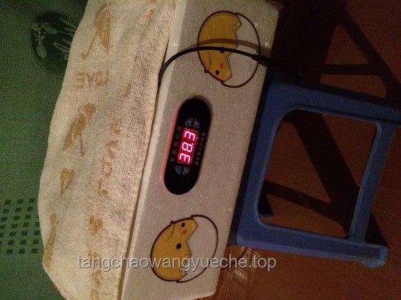 天太热，自制水床降温小妙招